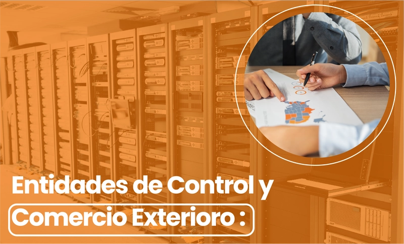 Servicio 4