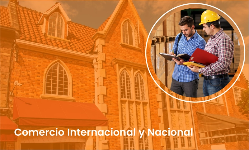 Servicio 6